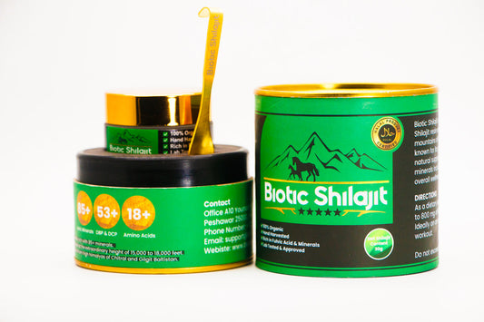 Top 10 Benefits of Shilajit for Men & Women