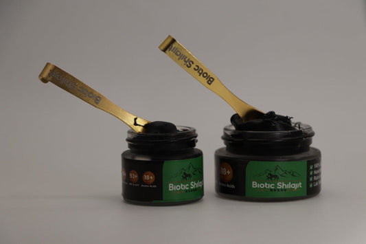 What is Shilajit? A Complete Guide to its Benefits & Uses