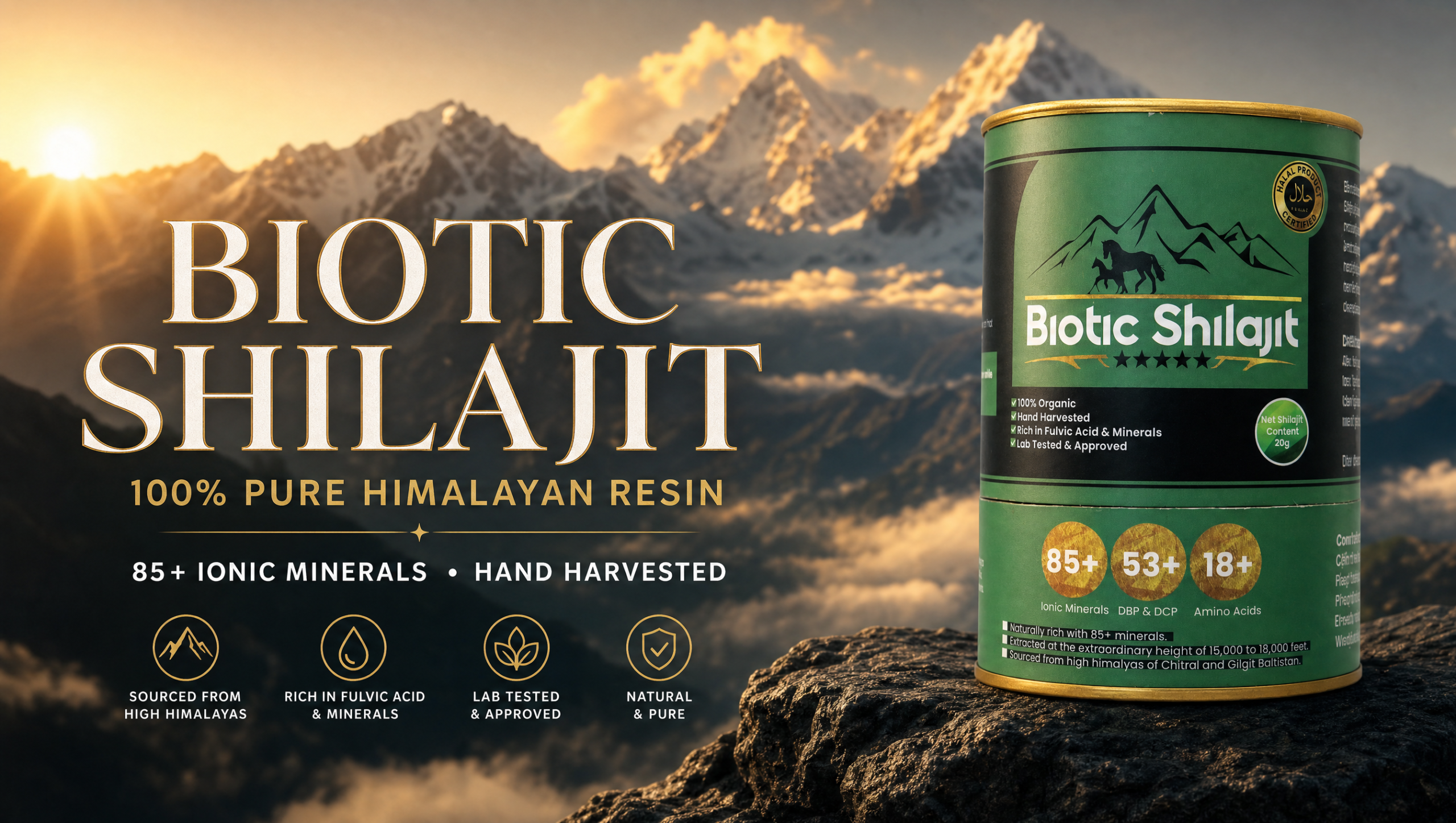 Biotic Shilajit banner